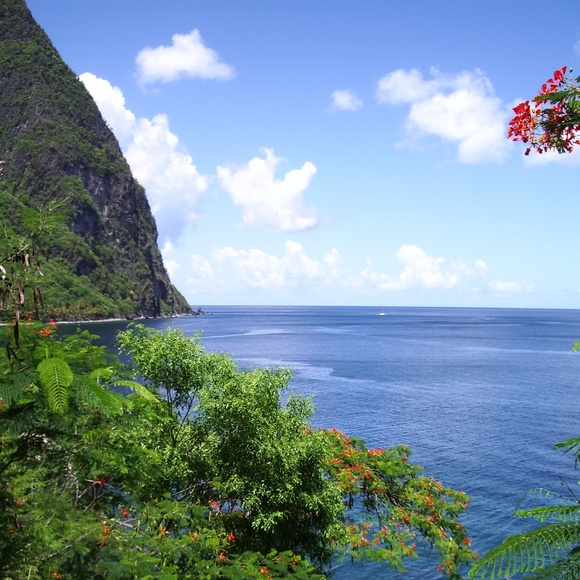 Meet your Posher, Courtney - Picture 3 of 6